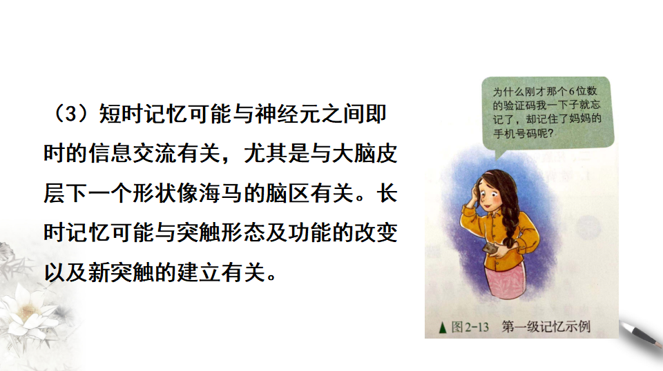 2.5 人脑的高级功能（课件）-2020-2021学年高二上学期生物学同步精品课堂（2019人教版选择性必修1）（共18张PPT）_10.png