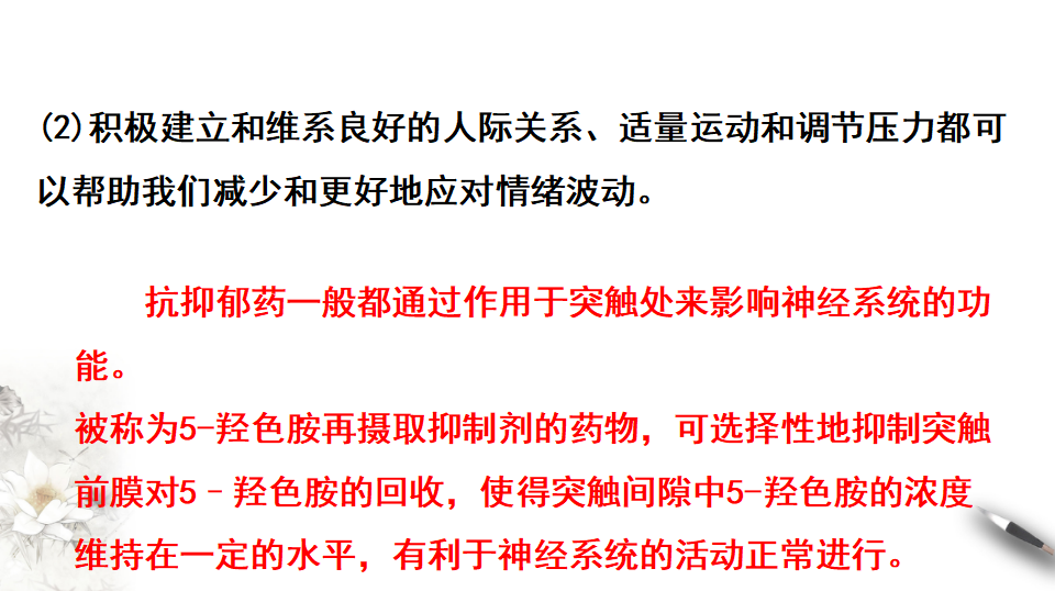 2.5 人脑的高级功能（课件）-2020-2021学年高二上学期生物学同步精品课堂（2019人教版选择性必修1）（共18张PPT）_12.png