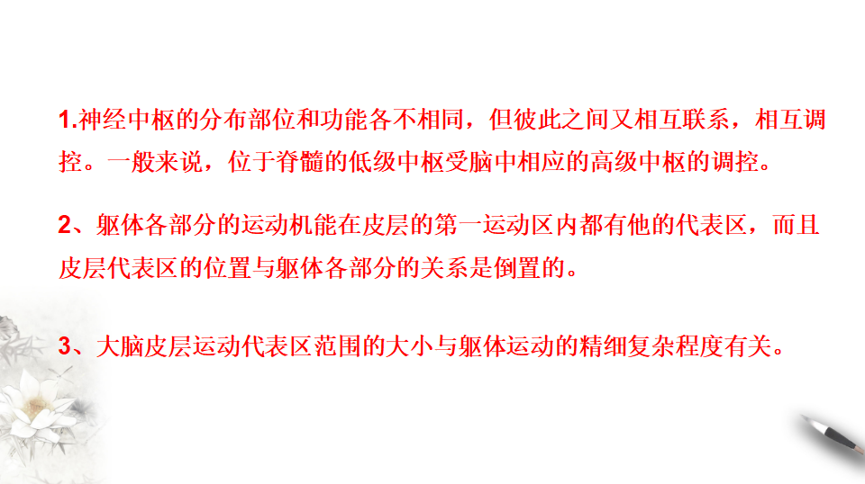 2.4 神经系统的分级调节（课件）-2020-2021学年高二上学期生物学同步精品课堂（2019人教版选择性必修1）（共21张PPT）_08.png