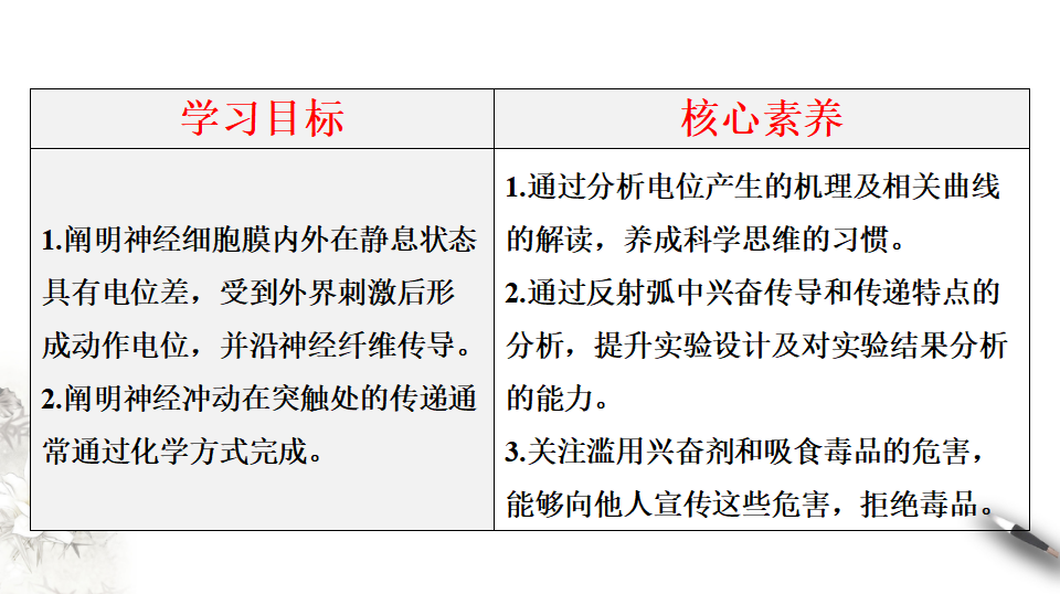 2.3 神经冲动的产生和传导（课件）-2020-2021学年高二上学期生物学同步精品课堂（2019人教版选择性必修1）（共36张PPT）_02.png
