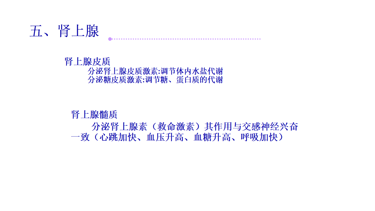 （新教材）人教版（2019）高中生物 选择性必修1 3.1 激素与内分泌系统 课件共52张PPT_39.png