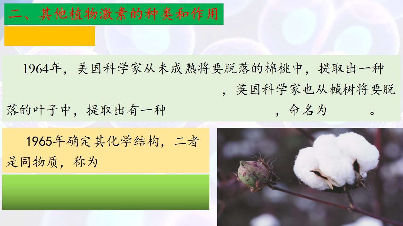 5.2 其他植物激素-【探究课堂】2022-2023学年高二生物上学期同步优质课件（人教版2019选择性必修1）_35297712_18.png