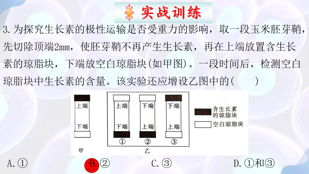 5.1 植物生长素（第二课时）-【探究课堂】2022-2023学年高二生物上学期同步优质课件（人教版2019选择性必修1）_30.png
