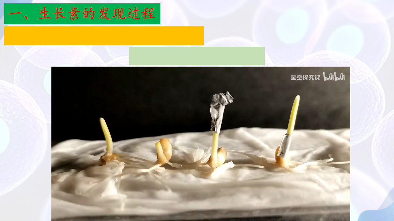 5.1 植物生长素（第一课时）-【探究课堂】2022-2023学年高二生物上学期同步优质课件（人教版2019选择性必修1）_07.png