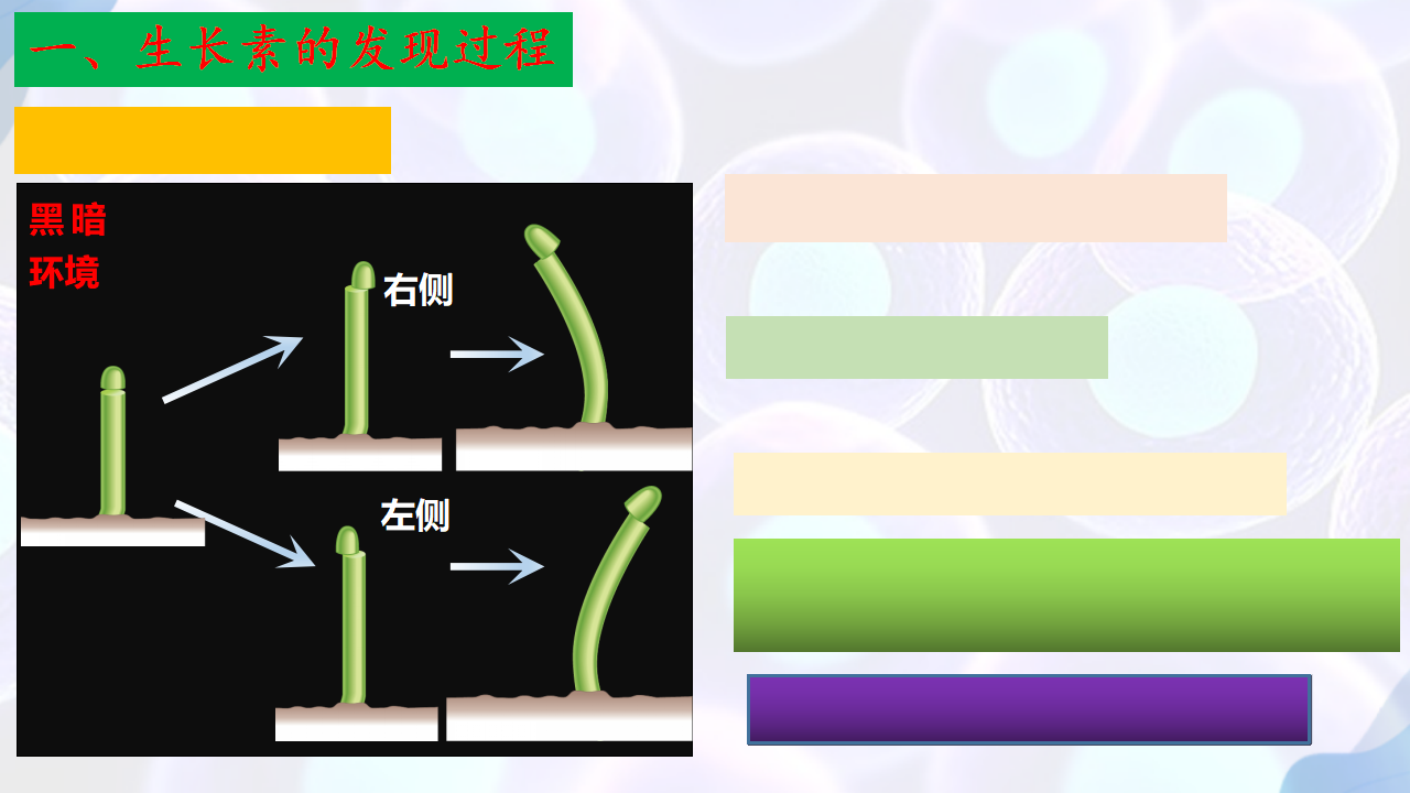 5.1 植物生长素（第一课时）-【探究课堂】2022-2023学年高二生物上学期同步优质课件（人教版2019选择性必修1）_17.png