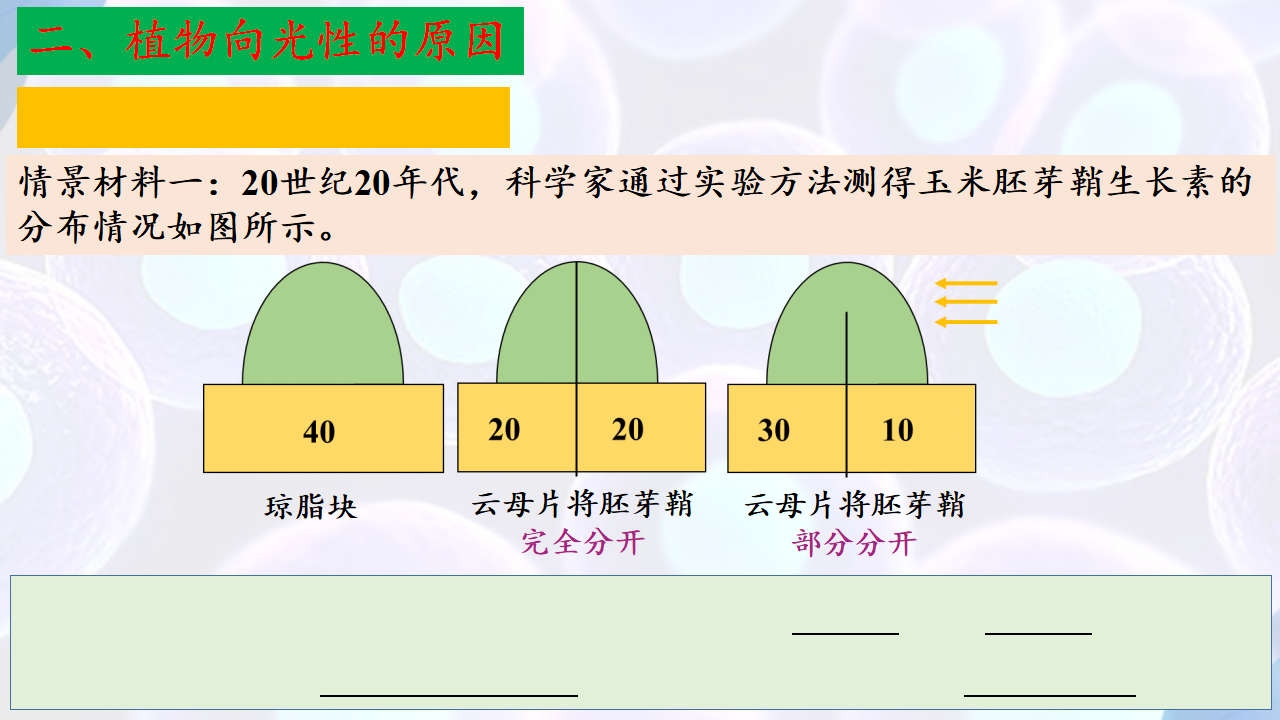 5.1 植物生长素（第一课时）-【探究课堂】2022-2023学年高二生物上学期同步优质课件（人教版2019选择性必修1）_25.png
