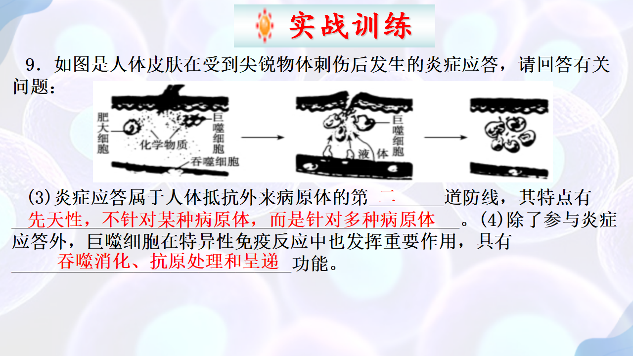 4.1 免疫系统的组成和功能（第二课时）-【探究课堂】2022-2023学年高二生物上学期同步优质课件（人教版2019选择性必修1）_27.png