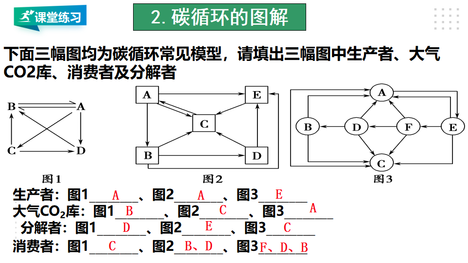 3.3 生态系统的物质循环_16.png