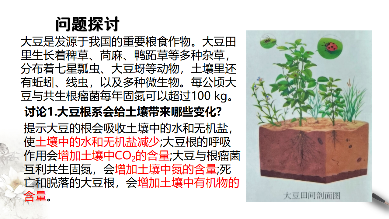 3.1生态系统的结构_02.png