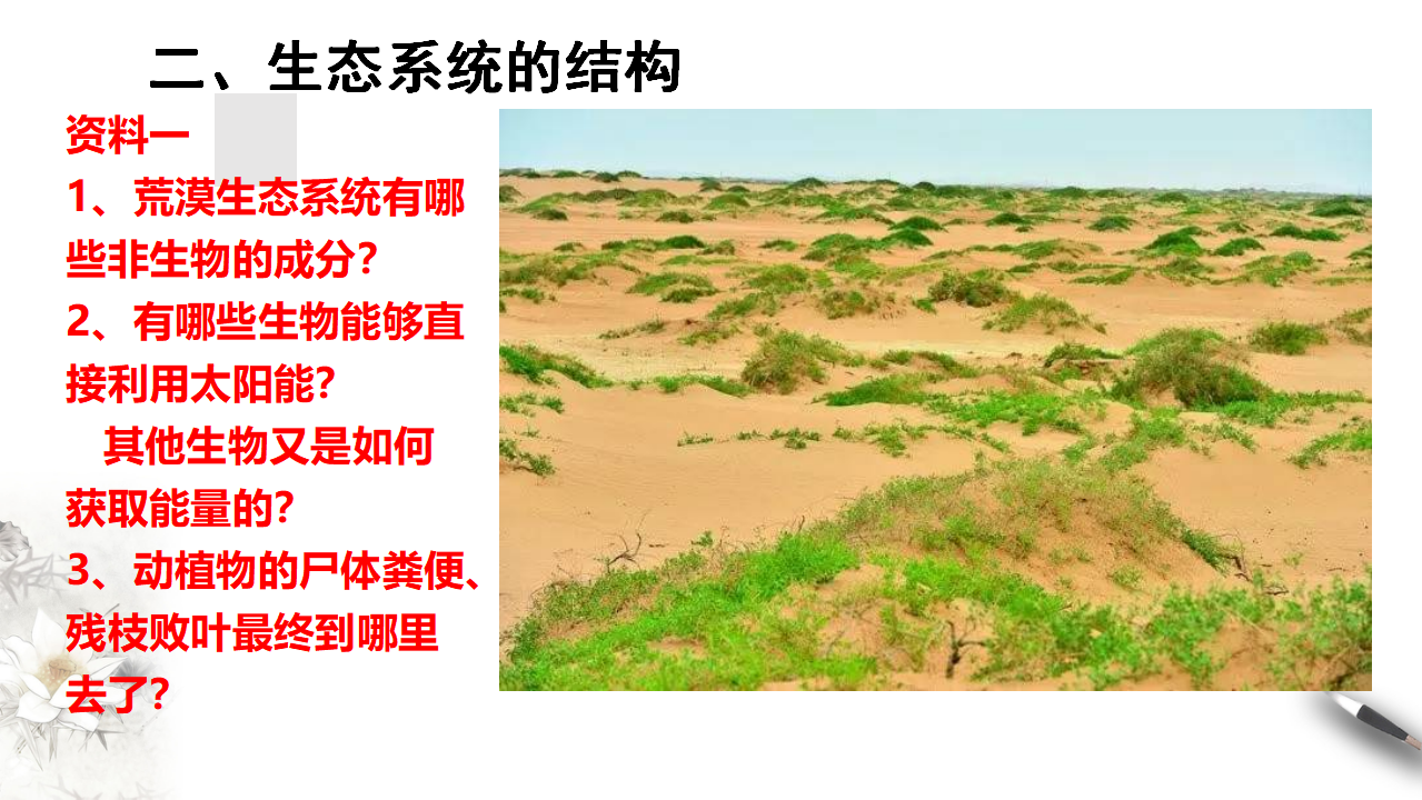 3.1生态系统的结构_07.png