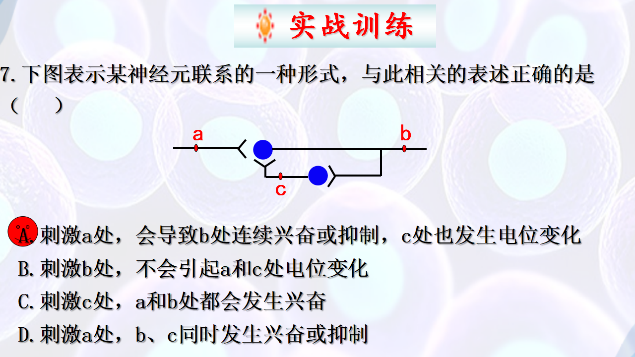 2.3神经冲动的产生和传导（第二课时）-【探究课堂】2022-2023学年高二生物上学期同步优质课件（人教版2019选择性必修1）_35.png