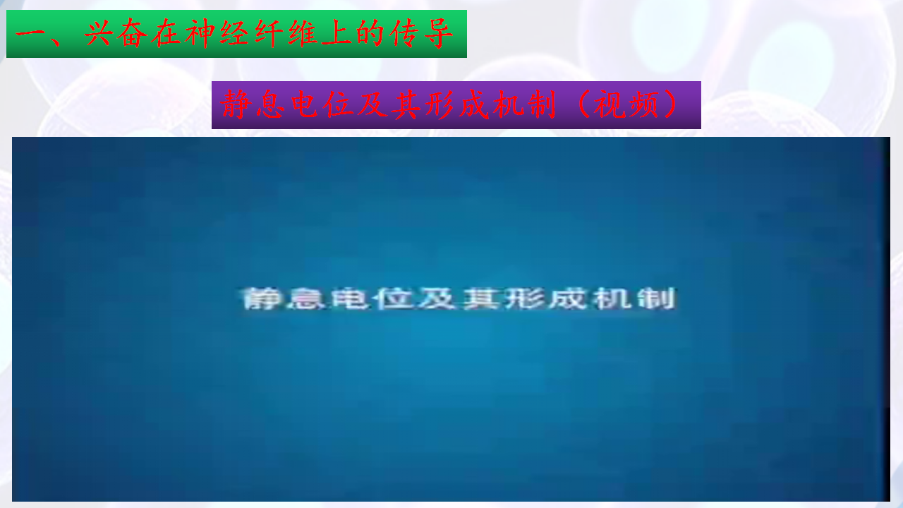 2.3神经冲动的产生和传导（第一课时）-【探究课堂】2022-2023学年高二生物上学期同步优质课件（人教版2019选择性必修1）_11.png