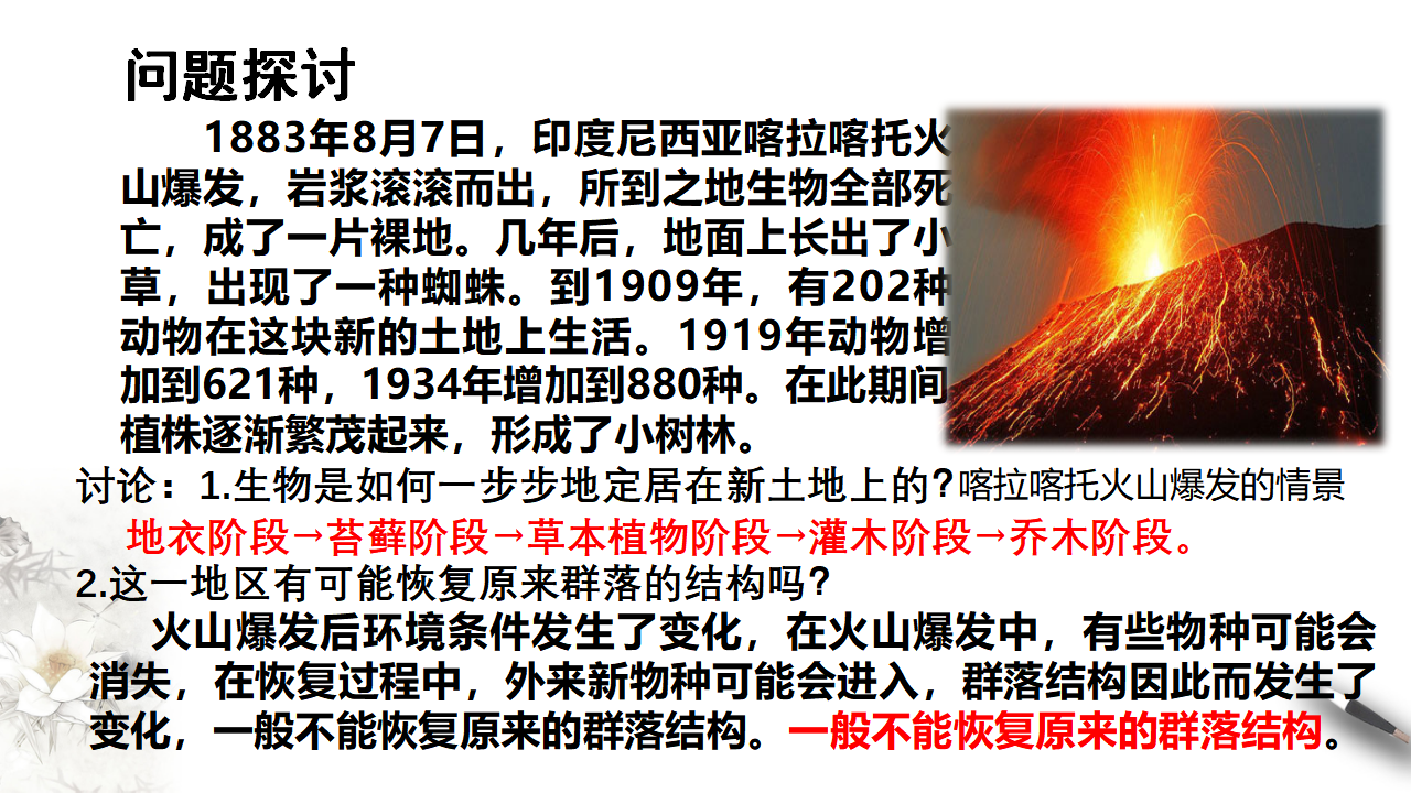 2.3 群落的演替_02.png