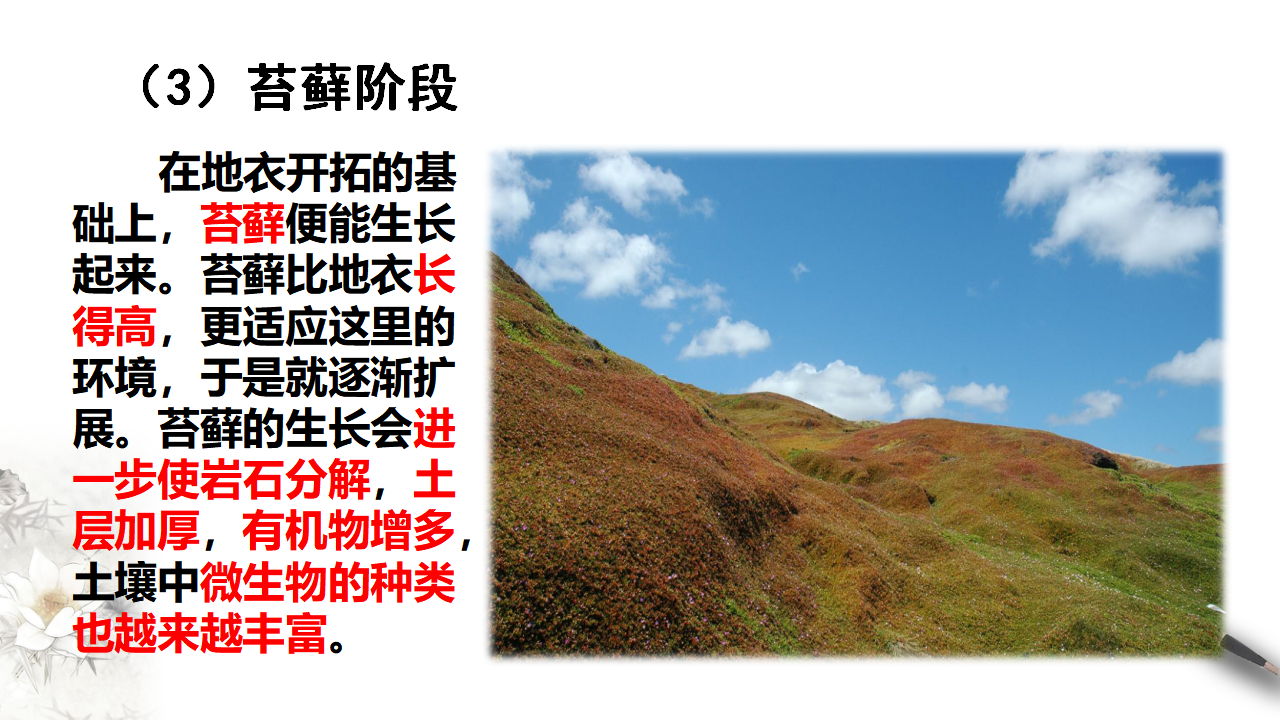 2.3 群落的演替_07.png