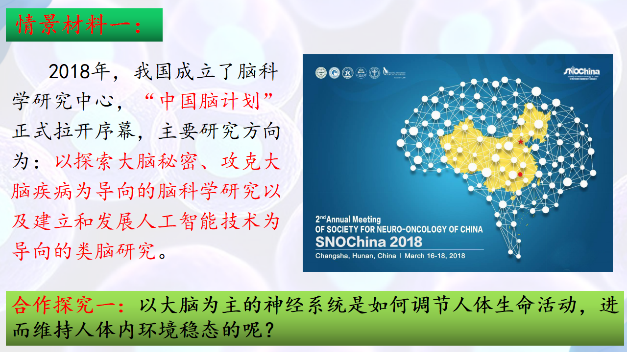 2.1神经调节的结构基础-【探究课堂】2022-2023学年高二生物上学期同步优质课件（人教版2019选择性必修1）_03.png