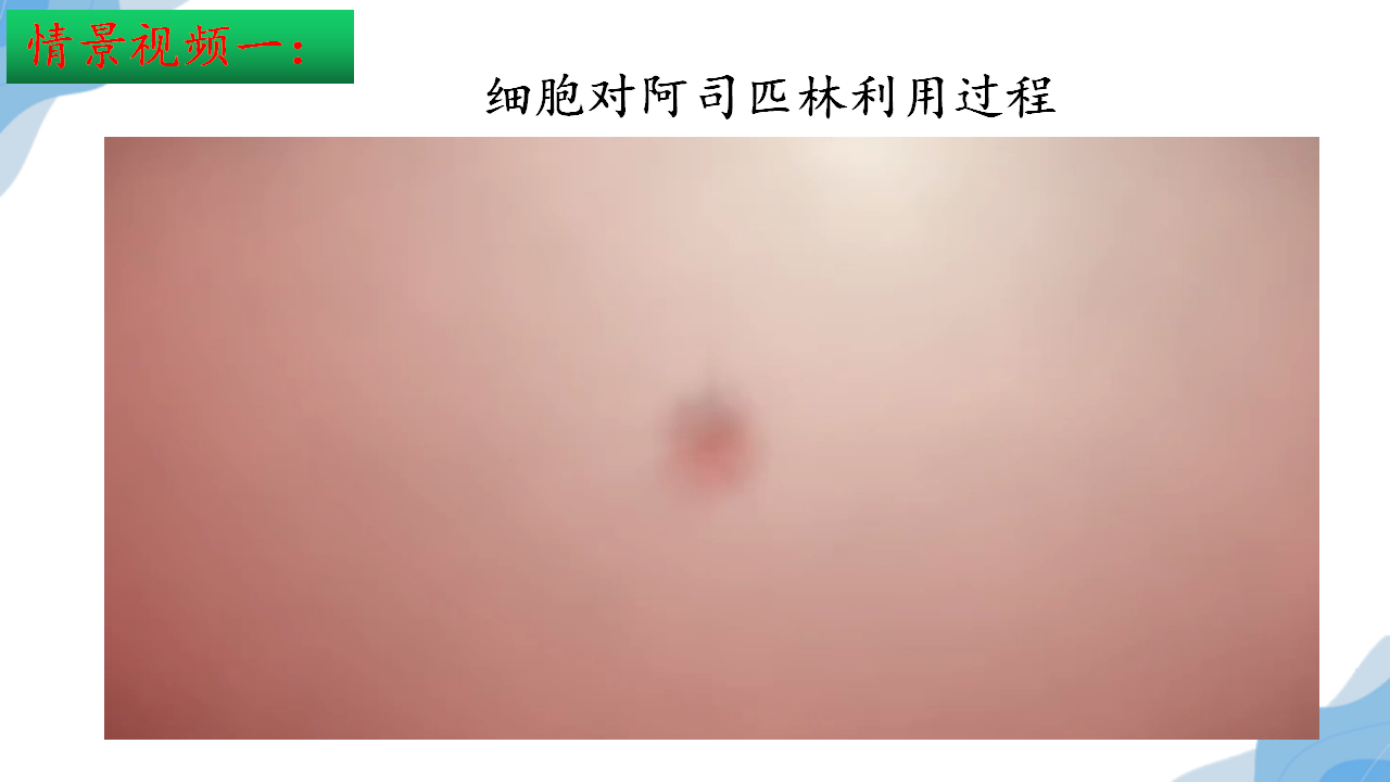 1.1细胞生活的环境第二课时-【探究课堂】2022-2023学年高二生物上学期同步优质课件（人教版2019选择性必修1）_03.png