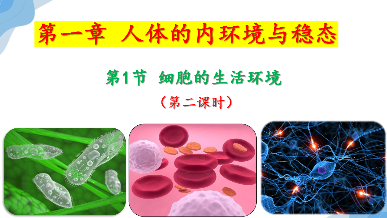 1.1细胞生活的环境第二课时-【探究课堂】2022-2023学年高二生物上学期同步优质课件（人教版2019选择性必修1）_01.png