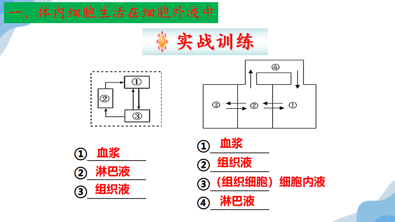 1.1细胞生活的环境第一课时-【探究课堂】2022-2023学年高二生物上学期同步优质课件（人教版2019选择性必修1）_18.png