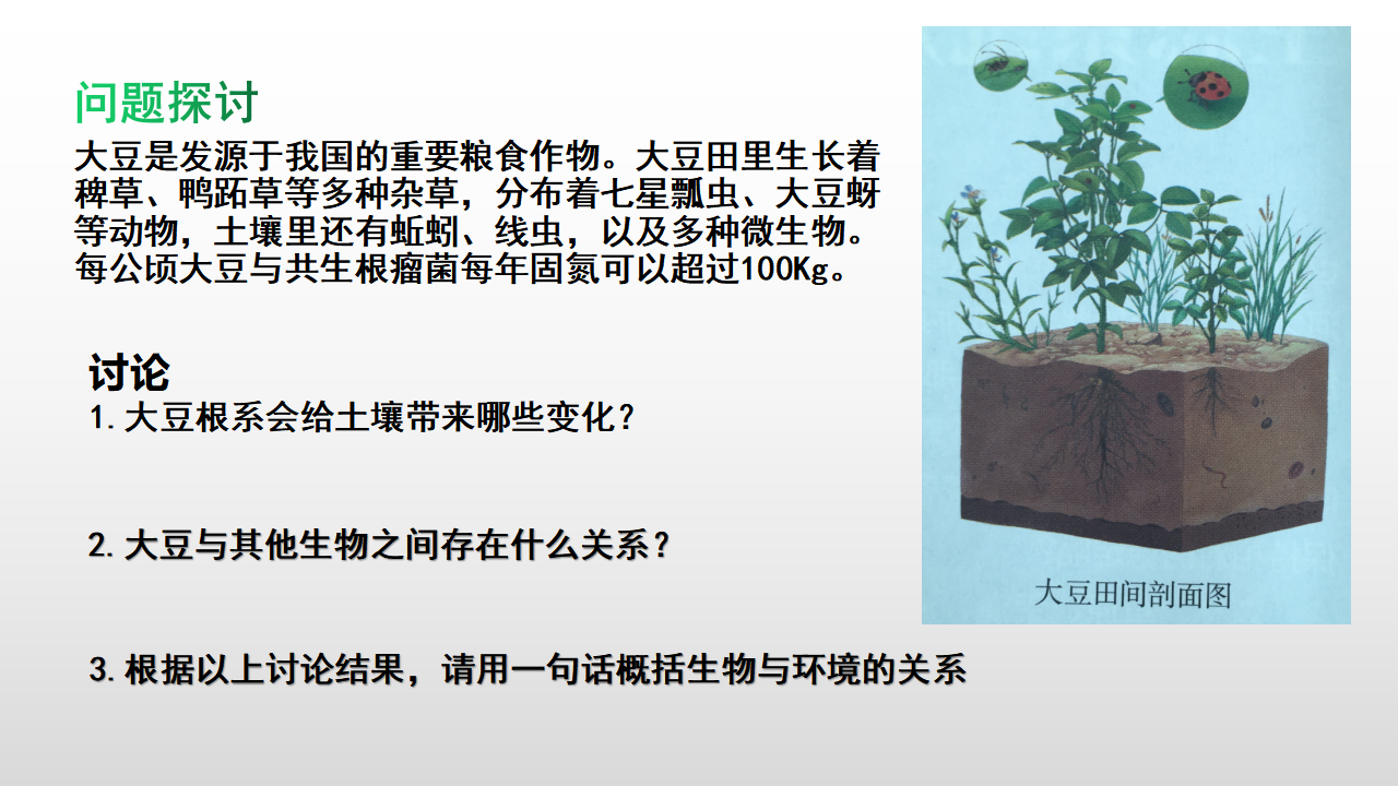 高中生物人教版（2019）选择性必修2    3.1生态系统的结构_02.png