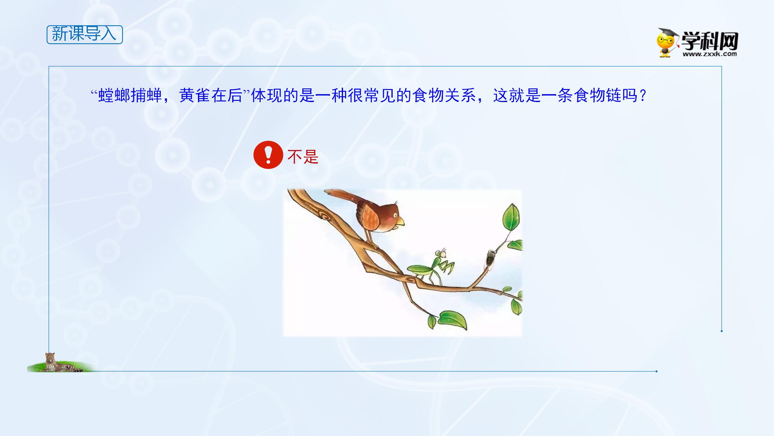 课件 3.1.2食物链和食物网-高中生物学选择性必修2（新教材同步课件）_02.png