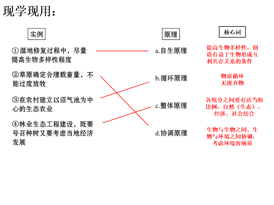 4.3 生态工程 课件31张_21.png