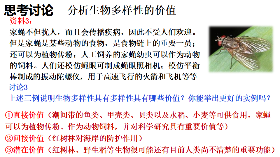 4.2 生物多样性及其保护 课件29张_09.png