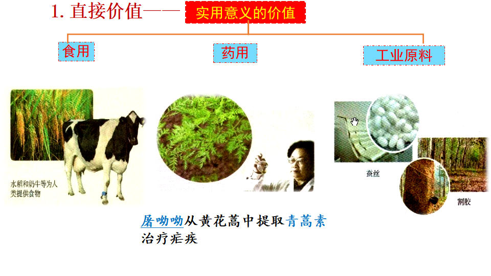 4.2 生物多样性及其保护 课件29张_11.png
