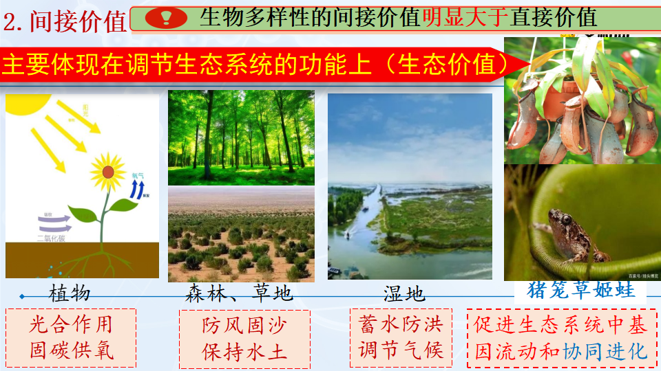 4.2 生物多样性及其保护 课件29张_13.png
