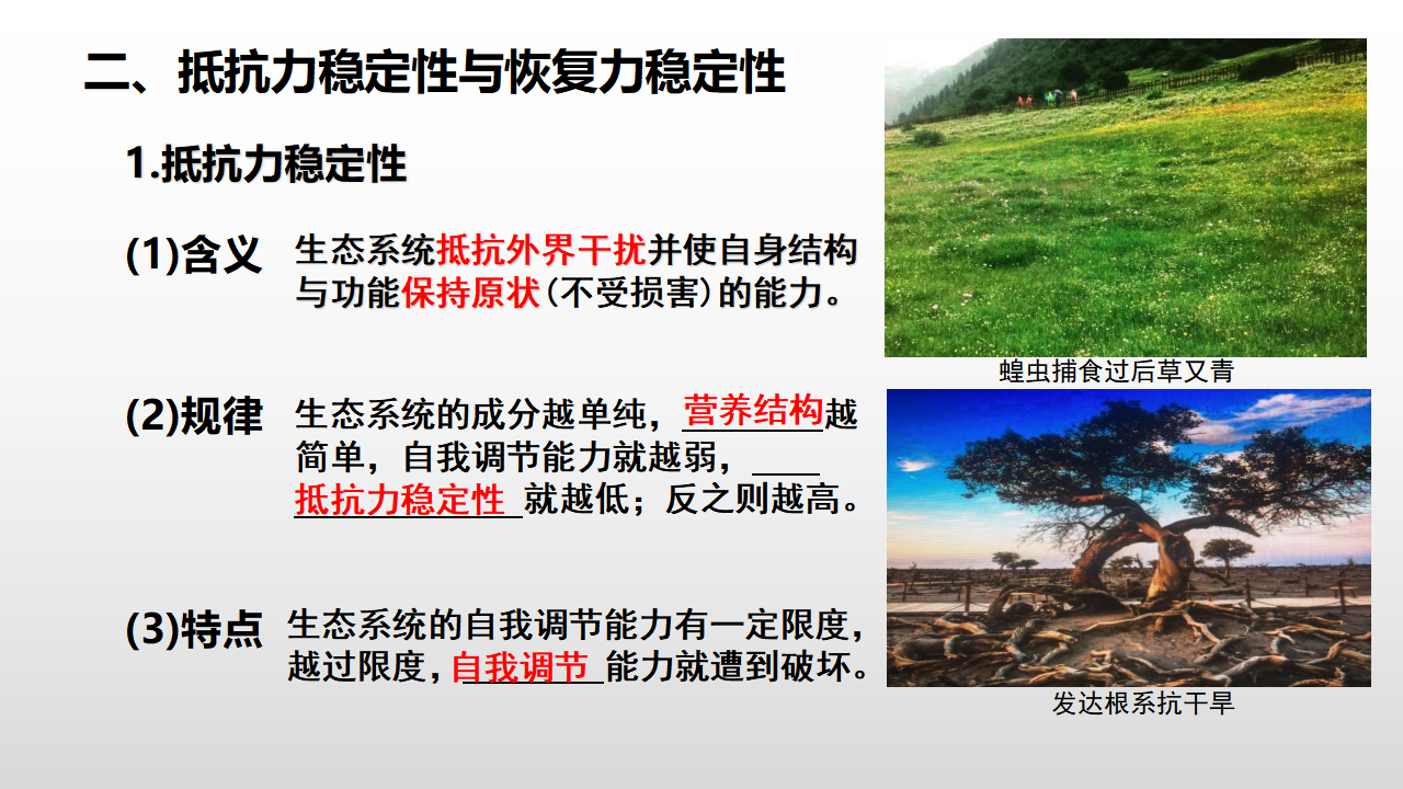 3.5 生态系统的稳定性 课件28张_11.png