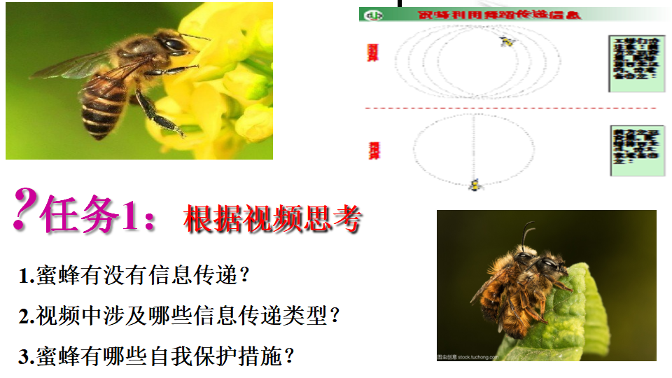 3.4 生态系统信息传递 课件31张_04.png