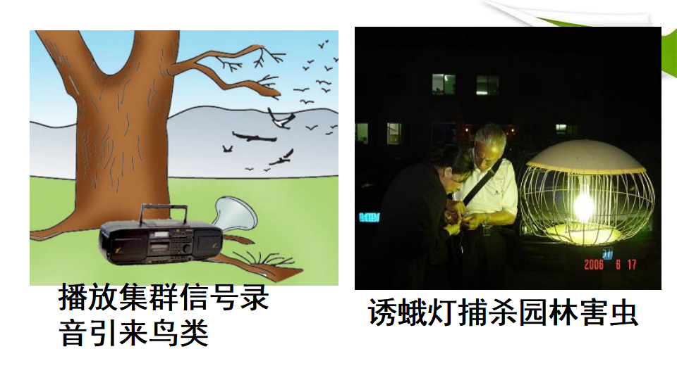 3.4 生态系统信息传递 课件31张_24.png