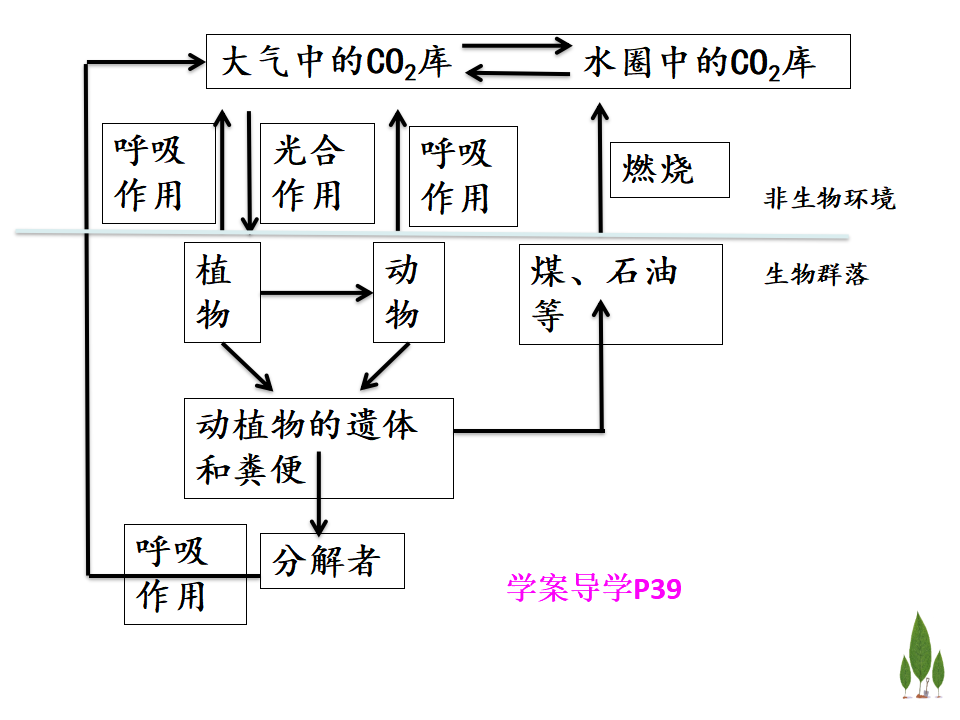 3.3生态系统的物质循环 课件【新教材】人教版（2019）高中生物选择性必修二_06.png