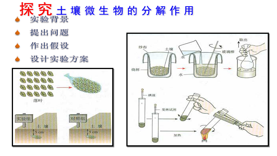3.3 生态系统的物质循环 课件34张_29.png