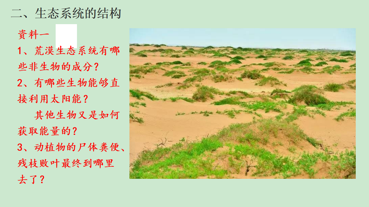 3.1生态系统的结构 课件【新教材】人教版（2019）高中生物选择性必修二_07.png