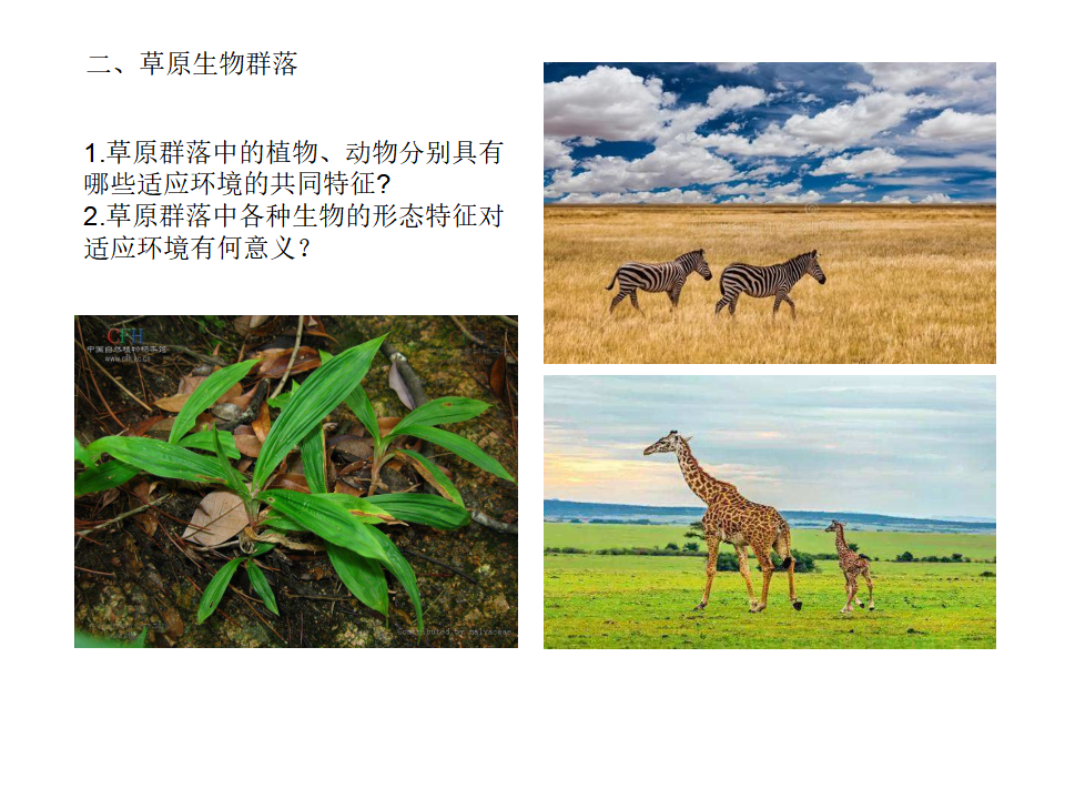 2.2 群落的主要类型 课件【新教材】人教版（2019）高中生物选择性必修二_04.png