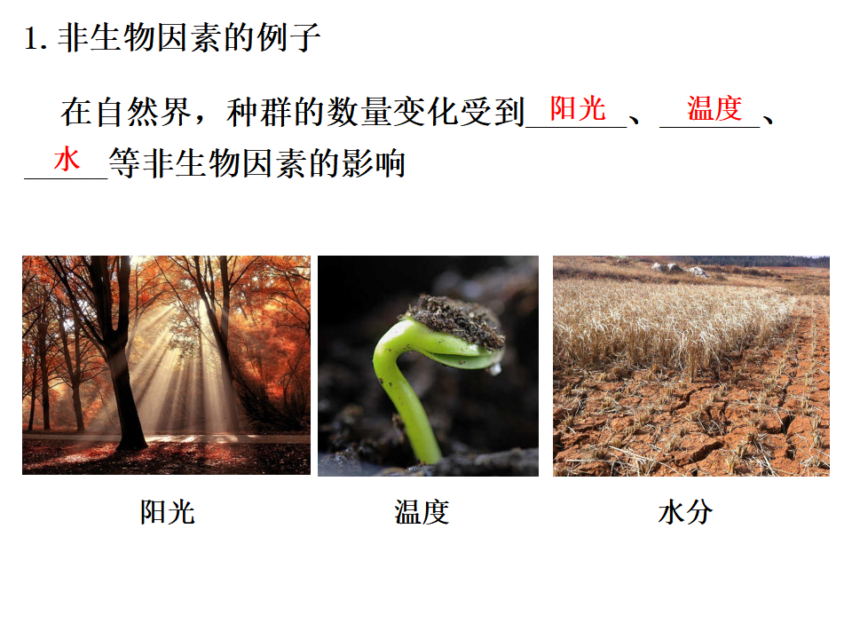 1.3 影响种群数量变化的因素 课件36张_06.png