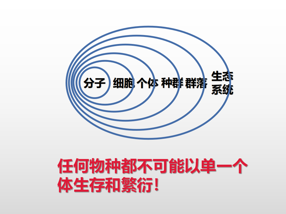 1.1 种群的数量特征 课件26张_01.png