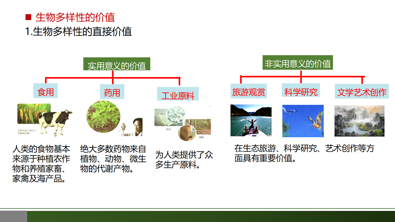 4.2 生物多样性及其保护-【优质课堂】2022-2023学年高二生物同步教学课件（人教版2019选择性必修2）_38390236_07.png