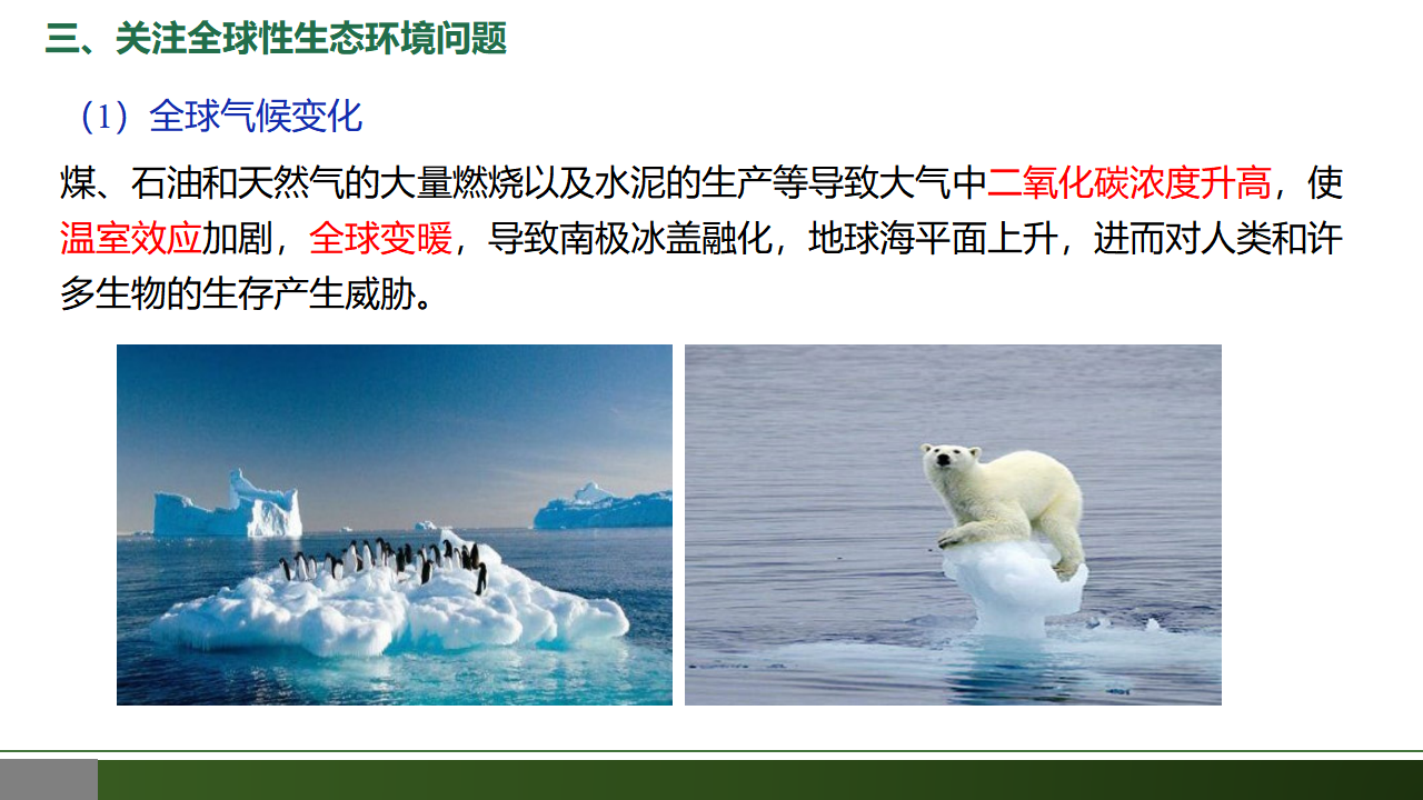 4.1 人类活动对生态环境的影响-【优质课堂】2022-2023学年高二生物同步教学课件（人教版2019选择性必修2）_38390241_07.png