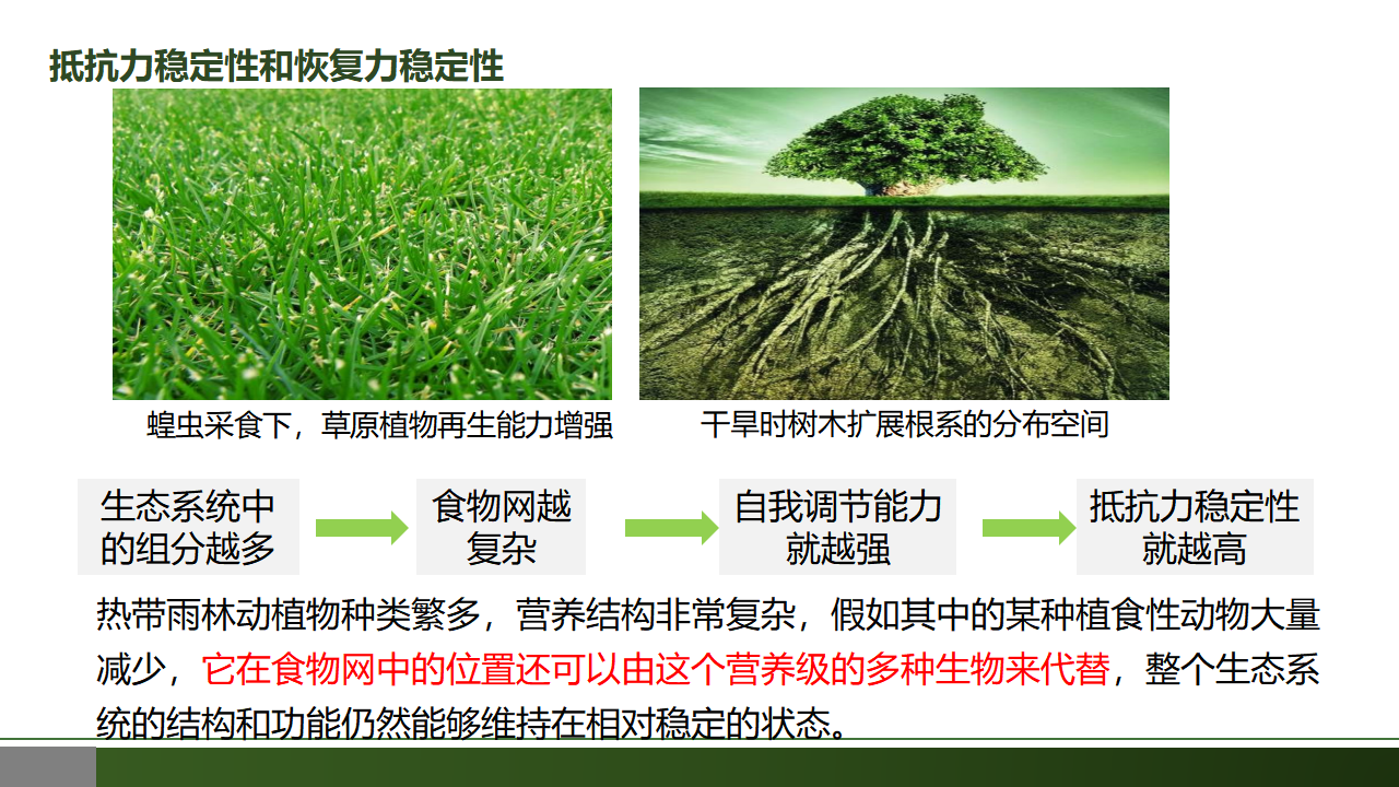3.5 生态系统的稳定性-【优质课堂】2022-2023学年高二生物同步教学课件（人教版2019选择性必修2）_37649243_16.png