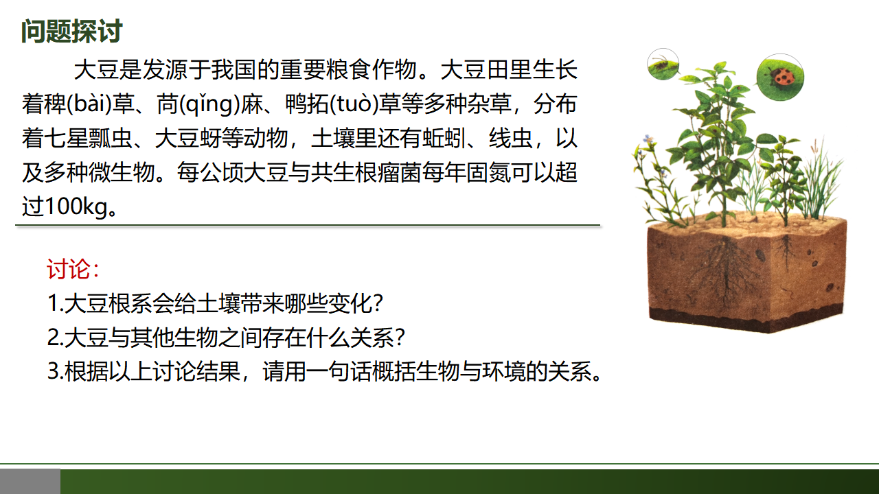 3.1 生态系统的结构-【优质课堂】2022-2023学年高二生物同步教学课件（人教版2019选择性必修2）_03.png