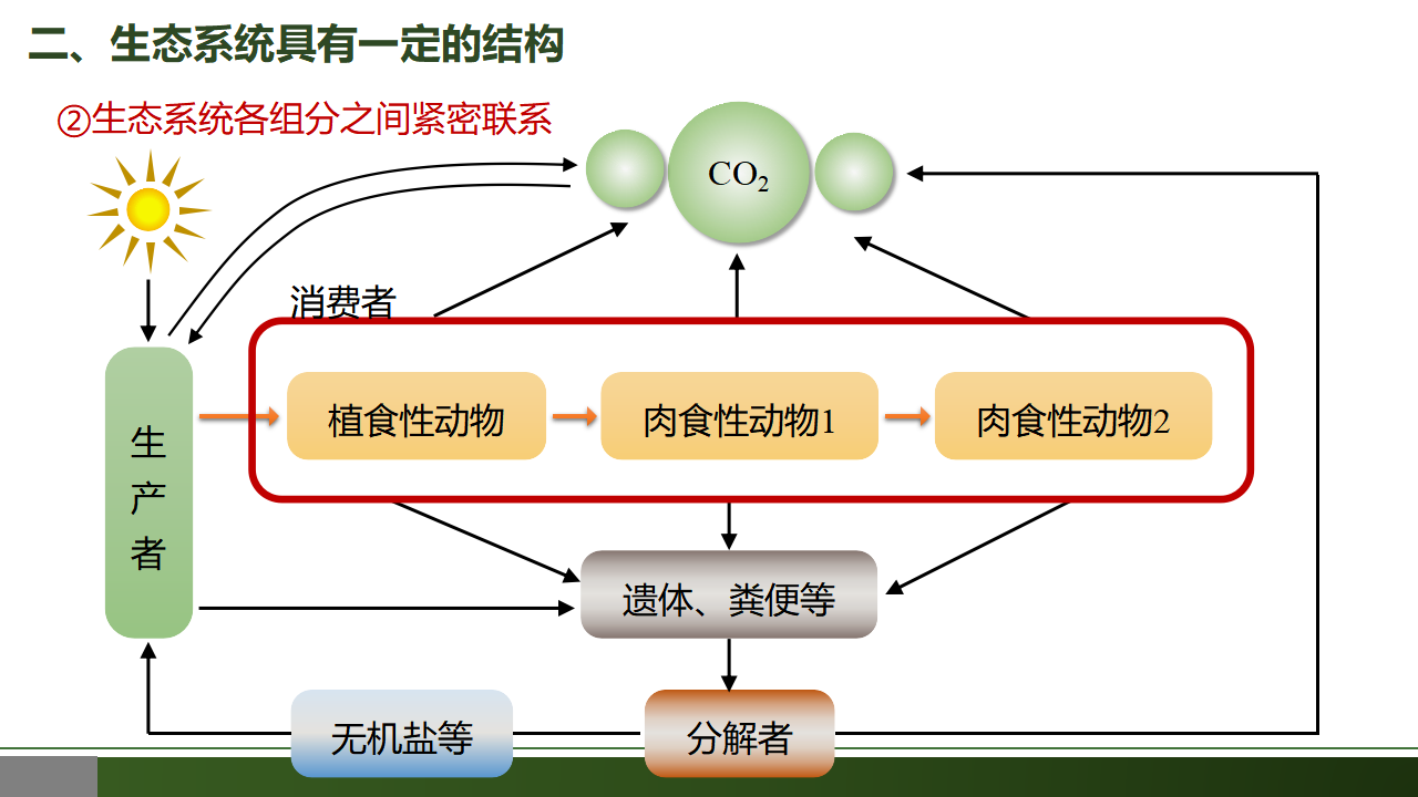 3.1 生态系统的结构-【优质课堂】2022-2023学年高二生物同步教学课件（人教版2019选择性必修2）_24.png