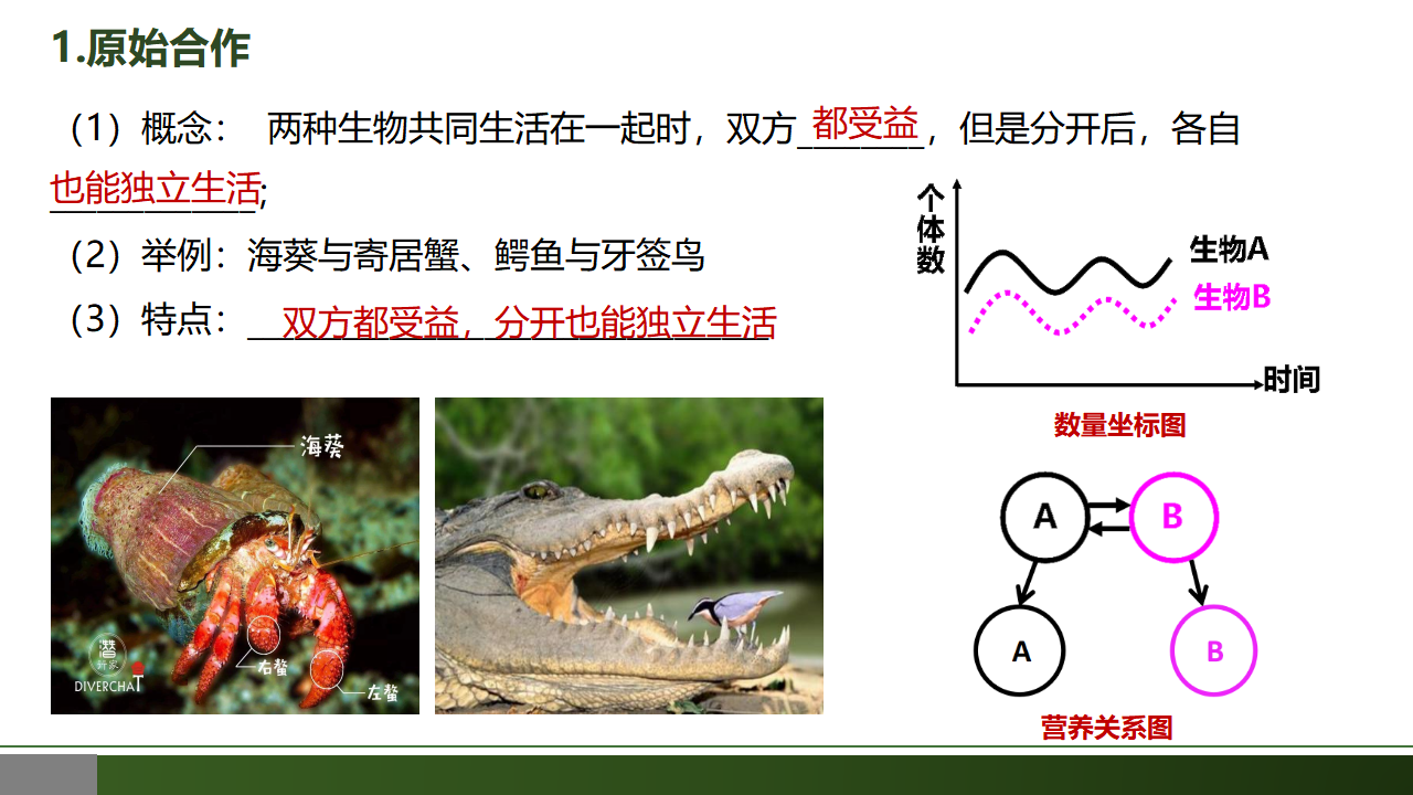 2.1 群落的结构（第一课时）-【优质课堂】2022-2023学年高二生物同步教学课件（人教版2019选择性必修2）_16.png