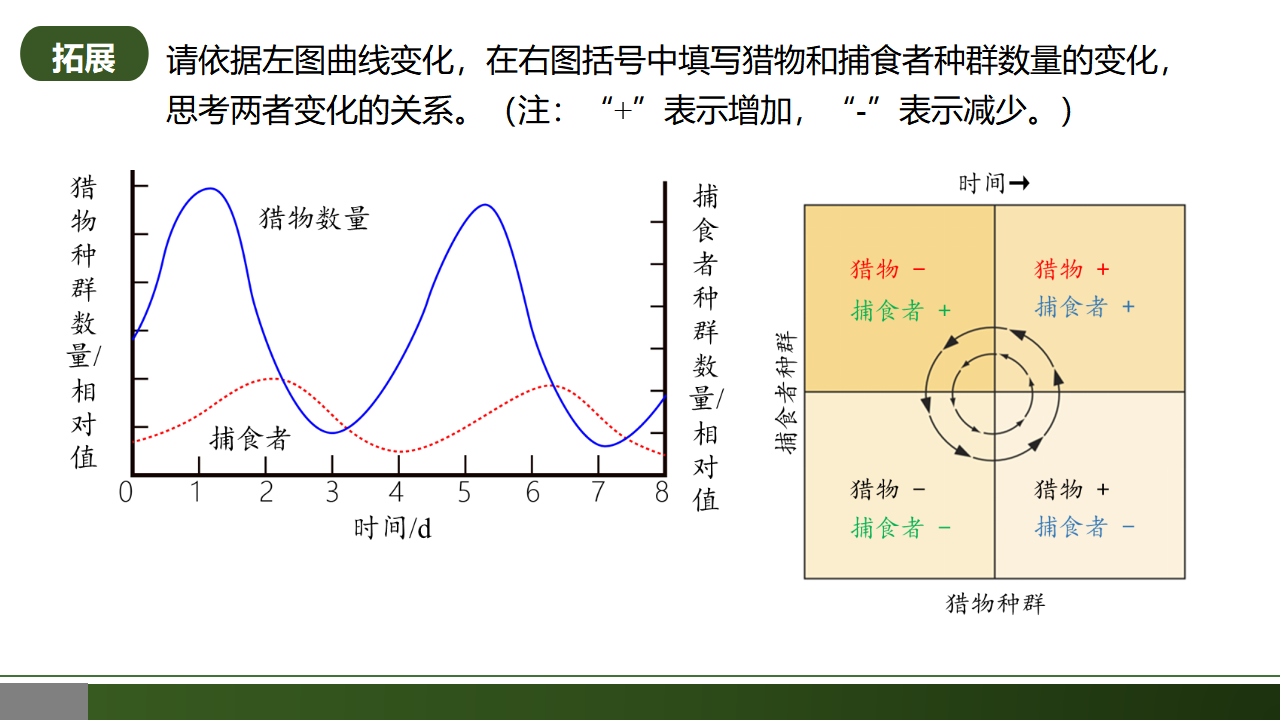 1.3 影响种群数量变化的因素-【优质课堂】2022-2023学年高二生物同步教学课件（人教版2019选择性必修2）_17.png