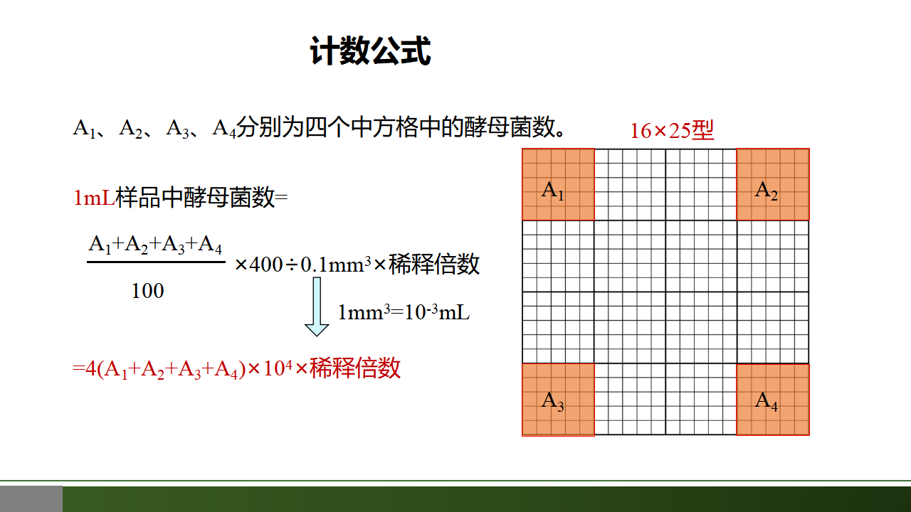 1.2 种群数量的变化（第二课时）-【优质课堂】2022-2023学年高二生物同步教学课件（人教版2019选择性必修2）_12.png