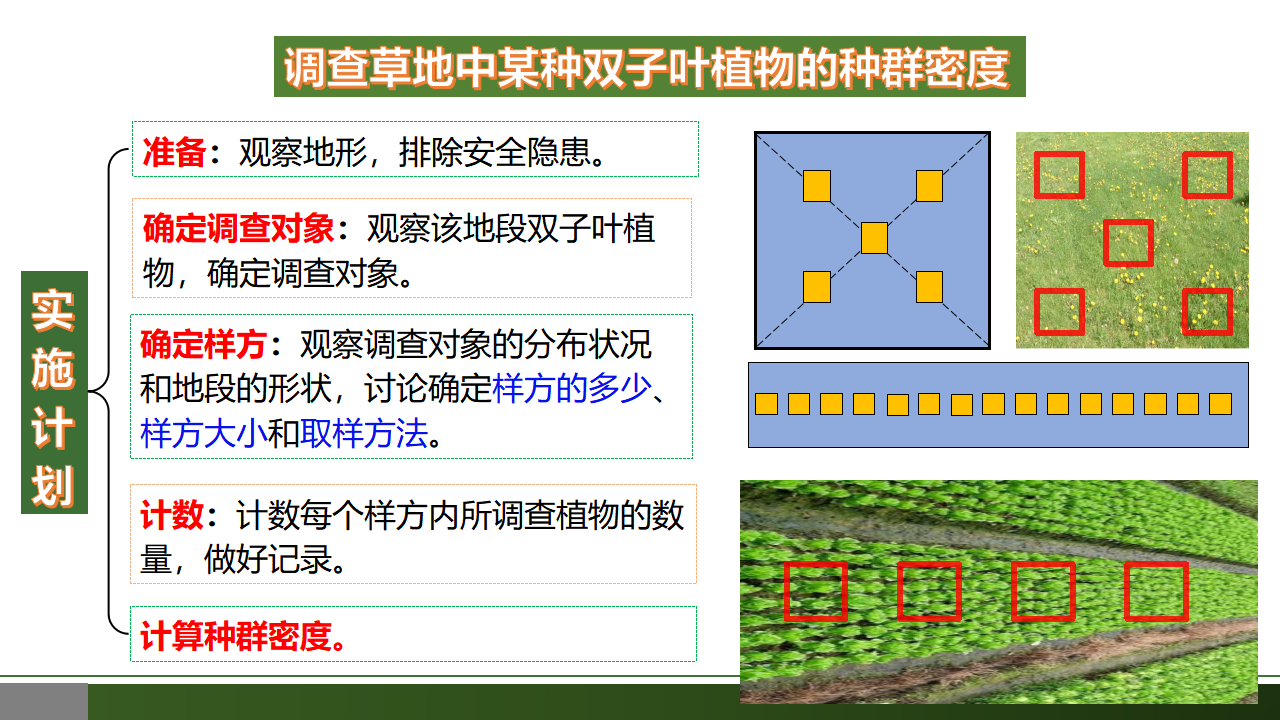 1.1 种群的数量特征-【优质课堂】2022-2023学年高二生物同步教学课件（人教版2019选择性必修2）_10.png