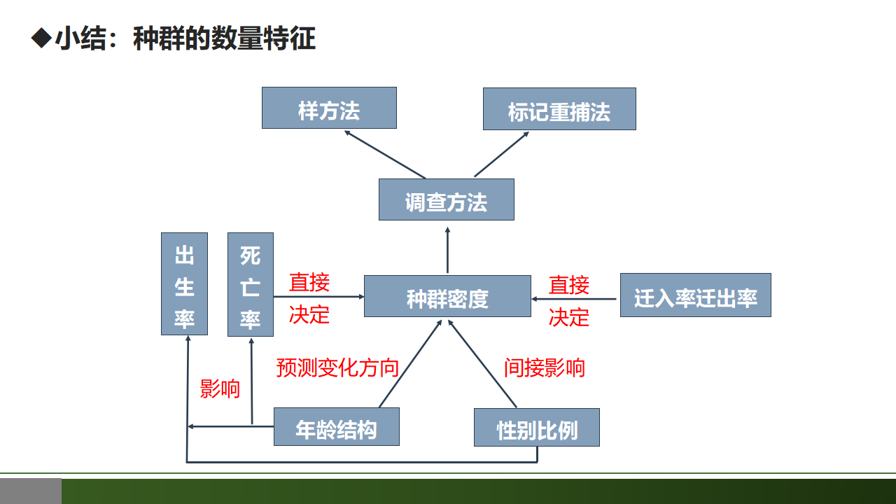 1.1 种群的数量特征-【优质课堂】2022-2023学年高二生物同步教学课件（人教版2019选择性必修2）_27.png