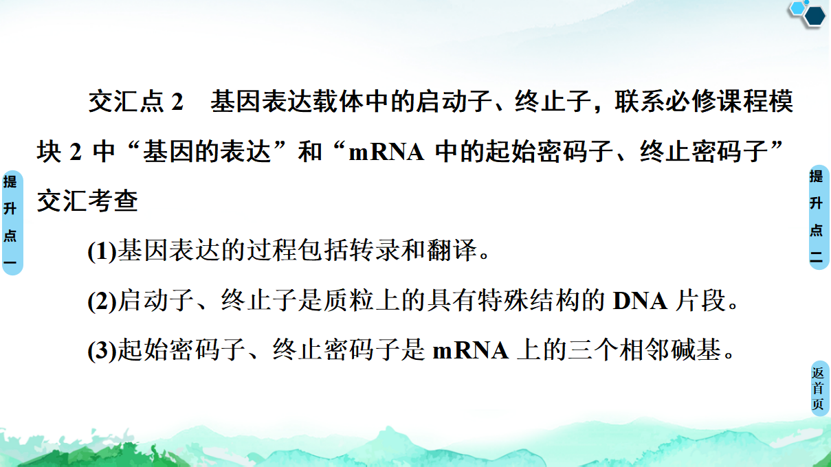 第3章 素能提升课 基因工程与其他相关知识的综合 课件【新教材】人教版（2019）高中生物选择性必修3_05.png