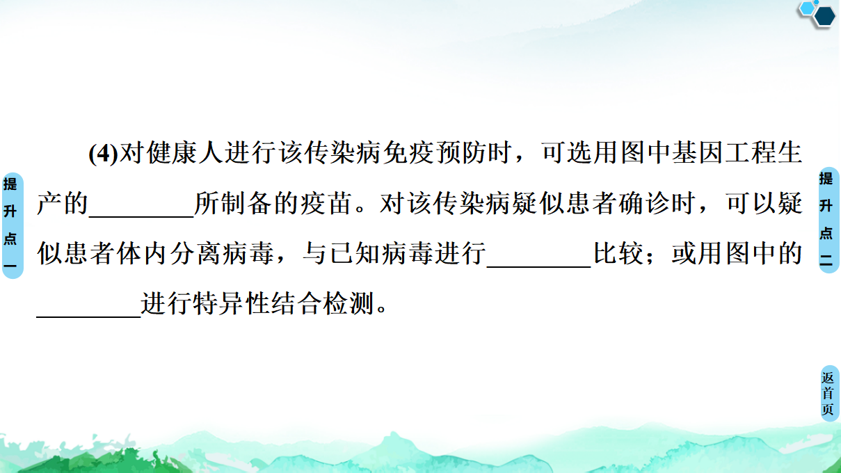 第3章 素能提升课 基因工程与其他相关知识的综合 课件【新教材】人教版（2019）高中生物选择性必修3_29.png