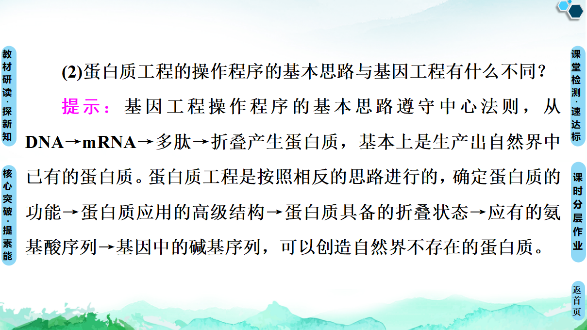 第3章 第4节 蛋白质工程的原理和应用 课件【新教材】人教版（2019）高中生物选择性必修3_21.png